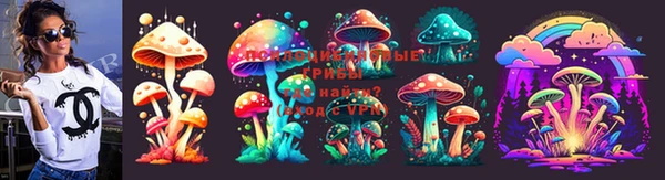 дживик Ельня