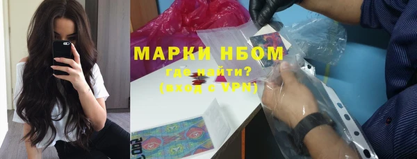 ГАЛЛЮЦИНОГЕННЫЕ ГРИБЫ Елабуга