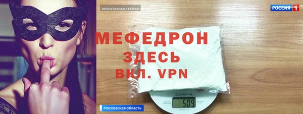 дживик Ельня
