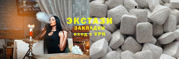 дживик Ельня