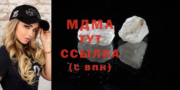 дживик Ельня