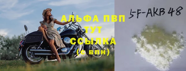 ГАЛЛЮЦИНОГЕННЫЕ ГРИБЫ Елабуга