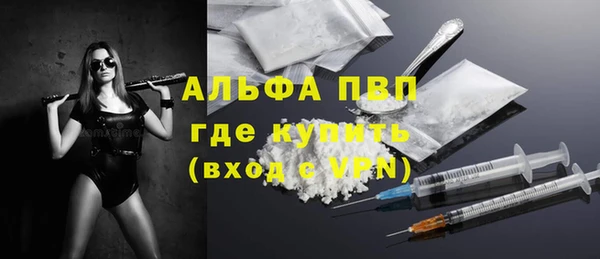 ГАЛЛЮЦИНОГЕННЫЕ ГРИБЫ Елабуга