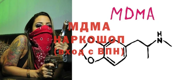 дживик Ельня