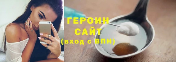 дживик Ельня
