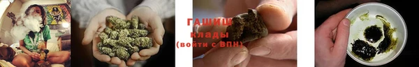 дживик Ельня