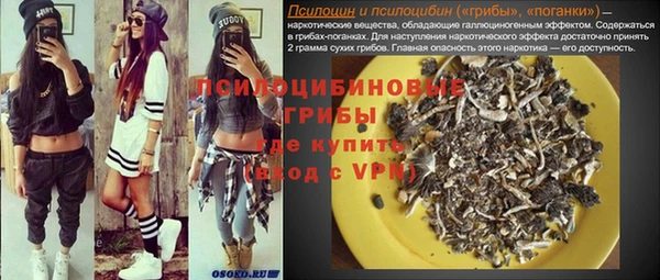 дживик Ельня