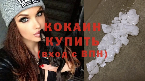 дживик Ельня
