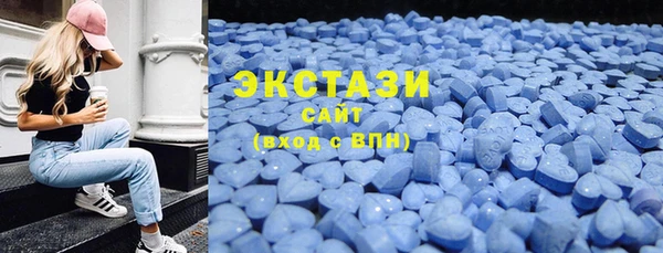 дживик Ельня