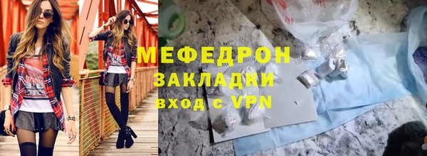 дживик Ельня