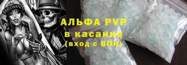 дживик Ельня